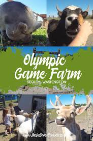Olympic Game Farm Olympic Games Washington Travel Sequim Washington
