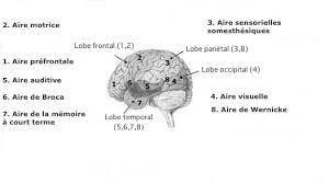 Planete Psy Definition A