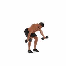 Pese a la opinión generalizada de que el trabajo con pesas solo sirve para el desarrollo muscular nos. Cuatro Ejercicios Con Mancuernas Para Trabajar La Espalda