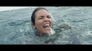 3000+ free animated gifs.for work. Megalodon Gif On Imgur