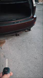 Image result for Desert Sage 2009 RX