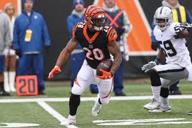 cincinnati bengals preseason depth chart establish the run