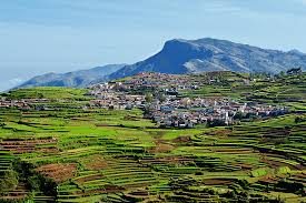 Heavenlyindia has the lowest google pagerank and bad results in terms of yandex topical citation index. Heavenly Hills In India That Need To Be Explored Thomas Cook Blog