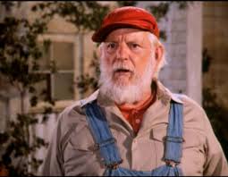Uncle Jesse Duke General Lee Dukes Of Hazard Bo Duke