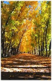 Otono Sanrafael Belleza Naturaleza Mendoza Sanrafaelgroup Www Sanrafaelgroup Com Ar Paisajes Mendoza San Rafael