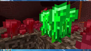 Nether Wart – Minecraft Wiki