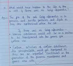 We did not find results for: What Would Happen To The Life Of The Cell If Golgi Apparatus No Present In It Brainly In