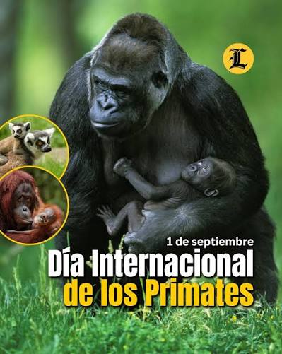 Día internacional de los primates