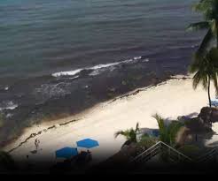 A fun day exploring the spectacular beaches and great restaurants at playa del carmen, mexico, south of cancun on the caribbean sea.planning a budget. Playa Del Carmen Beach Cam Live Beaches