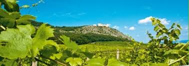 Co navštívit a vidět na jižní moravě? Gourmet Jizni Morava 2019 E Vsudybyl Cz Casopis Lidi A O Lidech V Cestovnim Ruchu