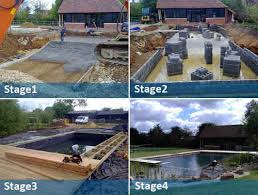 Things To Know About Natural Swimming Pool Definition Diy Pros And Cons Swimming Pool Construction Backyard Pool Natural Swimming Pools