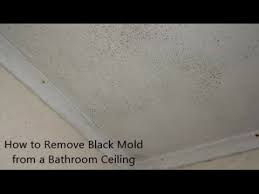 Scrub the bathroom ceiling with the sponge. How To Remove Black Mold From A Bathroom Ceiling Youtube