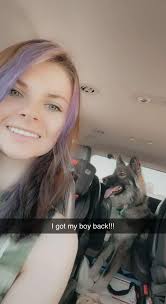 Missing dog, blue collar, green bandana, east of Redwood Road