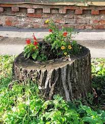 Recycling Tree Stumps For Yard Decorations Removing Tree Stumps Naturally Landscaping Around Trees Tree Stump Planter Unique Garden Art