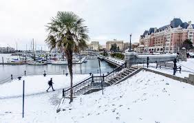 Does It Snow In Toronto? What To Expect, How To Prepare & More