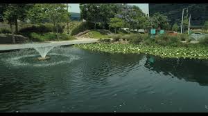 Was founded to provide clients with a reliable source for all of their ladscape needs. Oakridge Landscape Inc Commercial Landscape Construction And Maintenance
