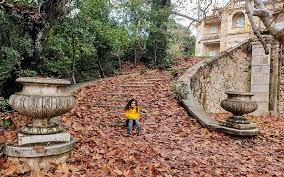 We operate as a country club, offering holistic and personalized entertaining, athletic and social recreational services. Athens Walks Exploring The Former Royal Estate At Tatoi Greece Is