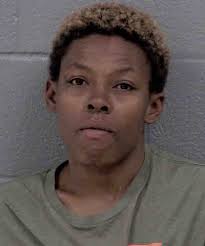 Ebony Chambers Trespassing