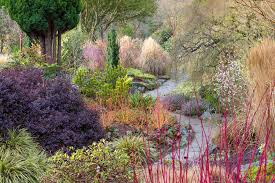 Https Www Professionalgardenphotographers Com Portfolios Joe Wainwright In 2020 Winter Garden Garden Styles Woodland Garden