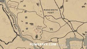 Perfect skunk location | rdr2 (map shown). Red Dead Redemption 2 All Animal Locations Zoologist Skin Deep