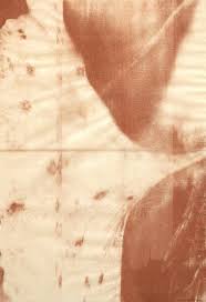 Bildergebnis für Ala D'Amico