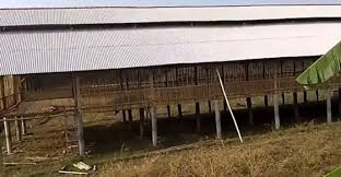 Berapa sih ukuran kandang yang pass untuk ayam jago ? Cara Membuat Kandang Ayam Potong Model Ukuran Biaya Contoh