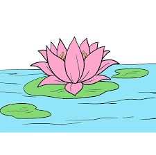 This blog website i post how to draw and i am trying to show the best drawing tips. How To Draw A Lotus Flower Really Easy Drawing Tutorial Easy Drawings Flower Drawing Flower Drawing Tutorials