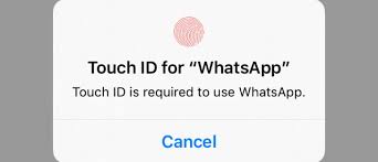 My son loves to press the home button, over and over and over. Whatsapp For Ios Adds Screen Lock Feature Gsmarena Com News