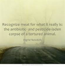 Recognize Meat For What It Really Is The Antibiotic And Own Quotes Sayings Inspirational Quotes