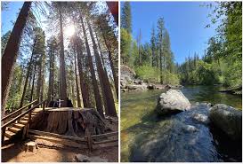 Calaveras big trees state park is a state park of california, united states, preserving two groves of giant sequoia trees. Gzj1t4pjjn9gum