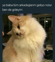 Tipik Kiz Hali Komik Komik Seyler Komik Resimler