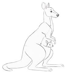 Pin By Liz Palazzolo On Ninas Stuff Kangaroo Art Kangaroo Drawing Cartoon Drawings