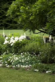 White Garden In Bloom White Gardens White Flower Farm Moon Garden