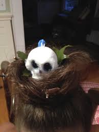 Bird With Funny Hair On Head Crazy Hair Day Bird Nest With Beanie Boo Owl In It So Easy And So Cute Crazy Hair Crazy Hair Days Hair Day