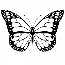 Painted Lady Butterfly Coloring Pages Butterfly Clip Art Butterfly Printable Butterfly Coloring Page