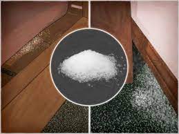 We did not find results for: 3 Ways To Get Rid Of Bed Bugs Wikihow