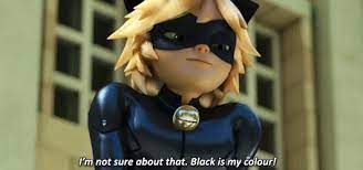 Miraculous Ladybug Lady Noir Miraculous Ladybug Fan Art