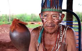 By spengler may 17, 2018february 18, 2020. An Island Of Hope In A Sea Of Soya National Geographic Society Newsroom