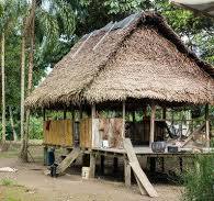 Palm thatched roof ideas for tropical homes