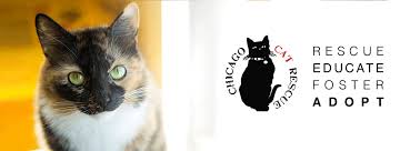 Cat adoption tails does not have facilities to house cats, but would like to work with people who can foster kitties in their homes while they work with us both on petfinder and on site adoption centers to find loving new homes. L3fax9vapquj0m