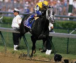 Pin On The Girls Of Horse Racing
