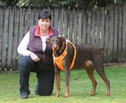 Edx.org has been visited by 10k+ users in the past month About Dog Partners Bc Spca Animalkind Accredited Training