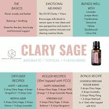 Clary Sage Diffuser Blends Essential Oils Aromatherapy Essential Oil Blends Sage Essential Oil