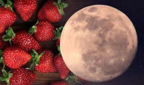 3rd quarter previous moon phase: Strawberry Moon Why Is The Moon So Big Tonight Is There A Full Moon Today Newsgroove Uk