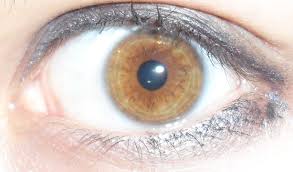 File Light Brown Amber Eye Jpg Mode Chanel