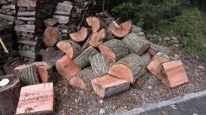 We did not find results for: The Wood Fairies Are Back Firewood Hoarders Club