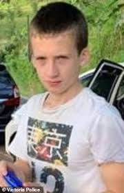 Volunteers searching for missing autistic teen who vanished in bushland are  told to stay at home