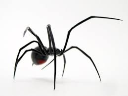 Black Widow Spider Glass Spider By Wesley Fleming Black Widow Spider Widow Spider Spider