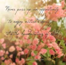 Nature The Handwriting Of God Life Is Beautiful Quotes Beautiful Quotes Tumblr Nature Quotes