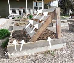 15 Herrliche Diy Palettengarten Ideen Die Sie Tun Sollten Paletten Garten Gemusehochbeet Erhohte Gartenbeet